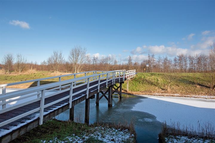 Bekijk foto 45 van Nieuwenhoornstraat 8