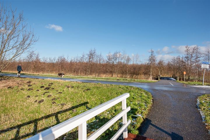 Bekijk foto 47 van Nieuwenhoornstraat 8