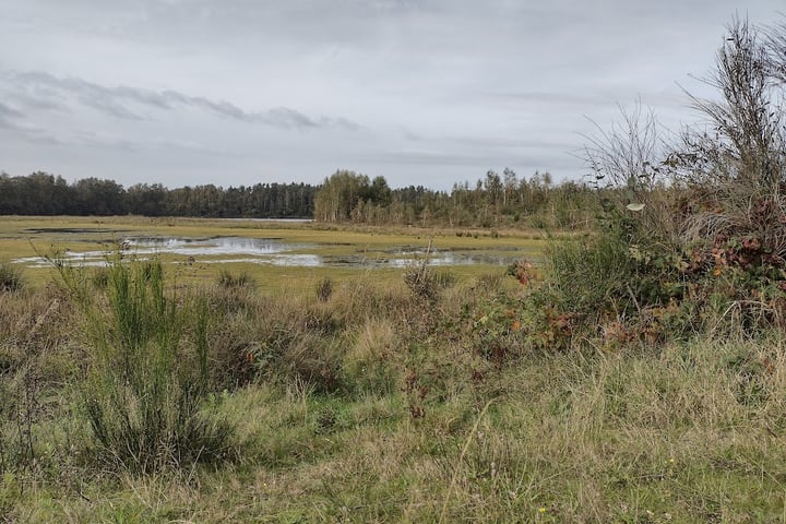 Bekijk foto 38 van Basalt 20-A