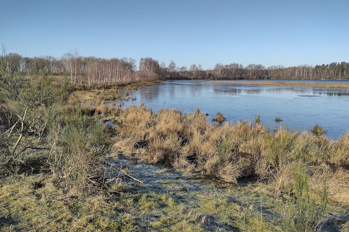 Bekijk foto 39 van Basalt 20-A