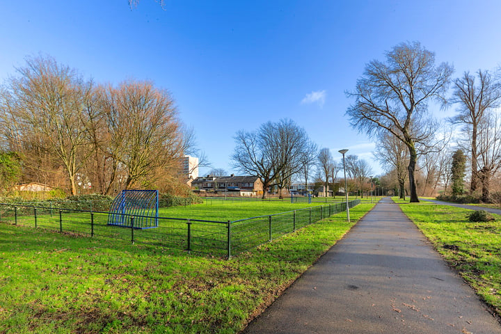 Bekijk foto 44 van Zalmsteek 30