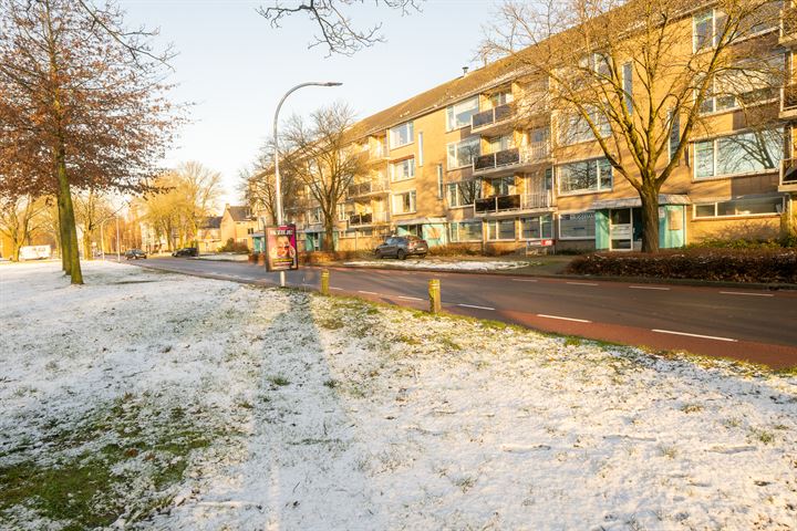 Bekijk foto 43 van Staringstraat 280