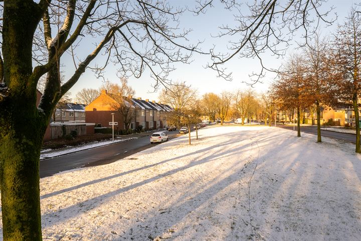 Bekijk foto 46 van Staringstraat 280