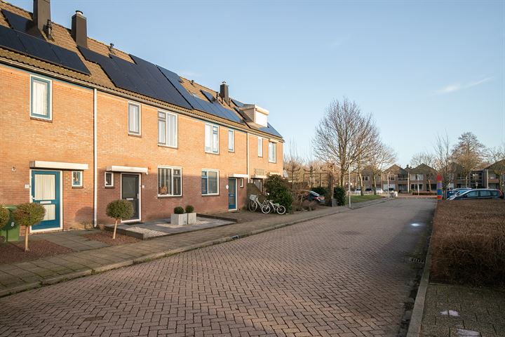 Bekijk foto 2 van Merel 6