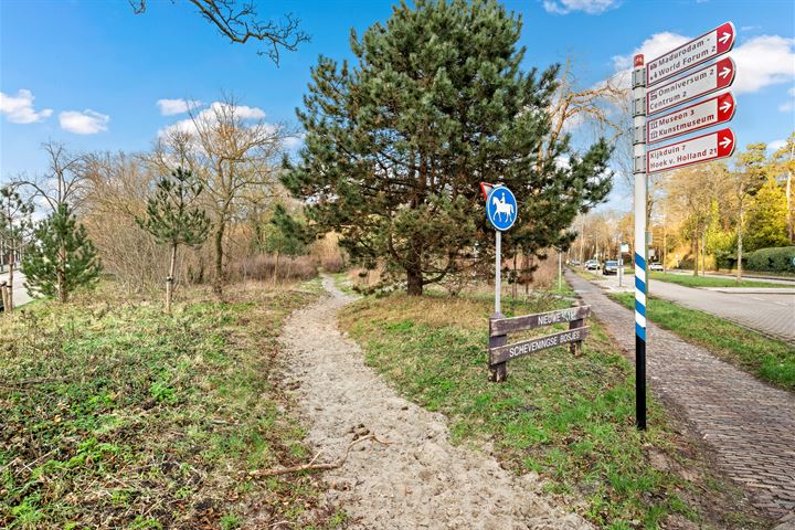 Bekijk foto 90 van Badhuisweg 228