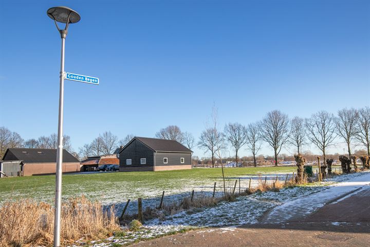 Bekijk foto 48 van Gouden Regen 50-A