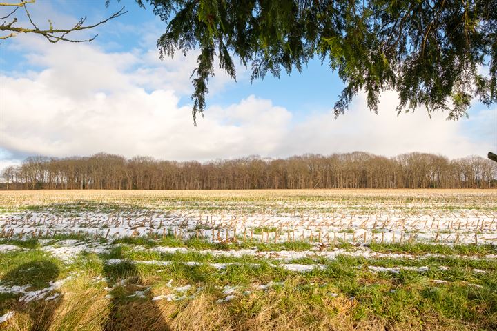 Bekijk foto 41 van Hoofdweg 72