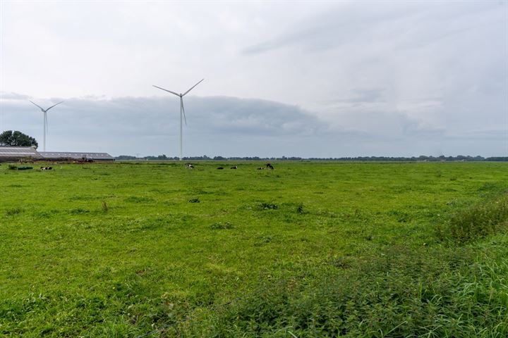 Bekijk foto 49 van Nieuwediep 85