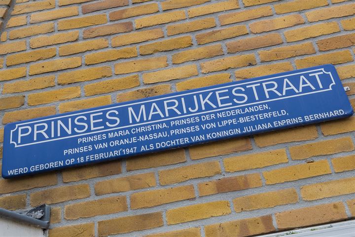 Bekijk foto 43 van Prinses Marijkestraat 35