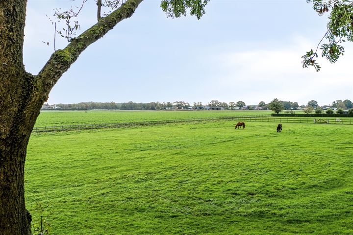 Bekijk foto 6 van Kladde 58