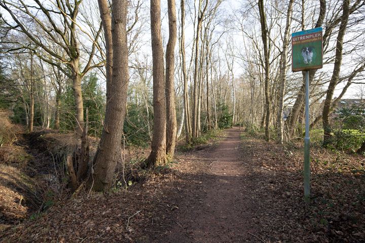 Bekijk foto 33 van Graafschap 119