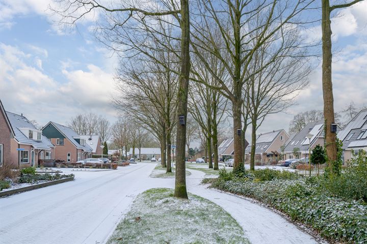 Bekijk foto 4 van Hendrik Tillemaweg 48