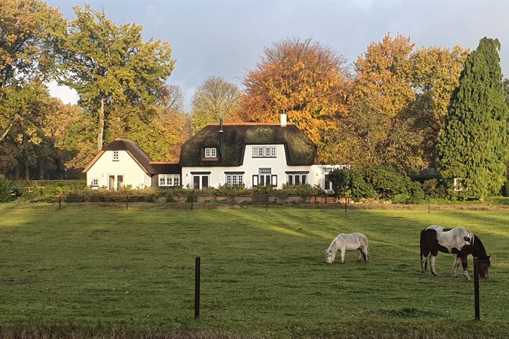 Bekijk foto 35 van De Leemkuil 5