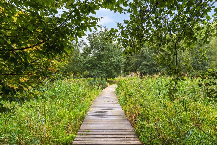 Bekijk foto 32 van Maarten Lutherweg 68