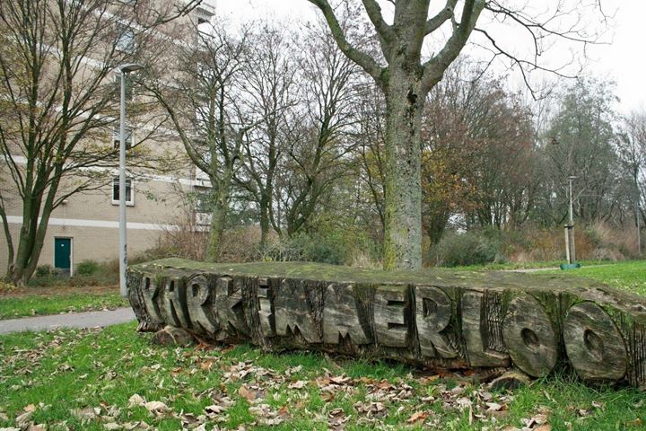 Bekijk foto 20 van Groningensingel 875