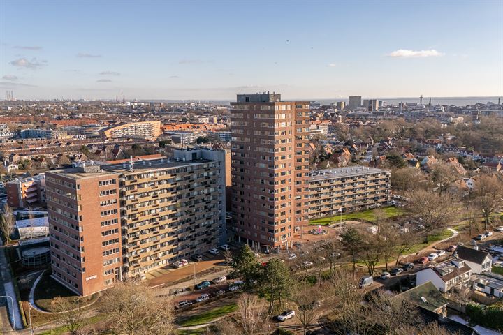 Bekijk foto 2 van Vredehoflaan 328