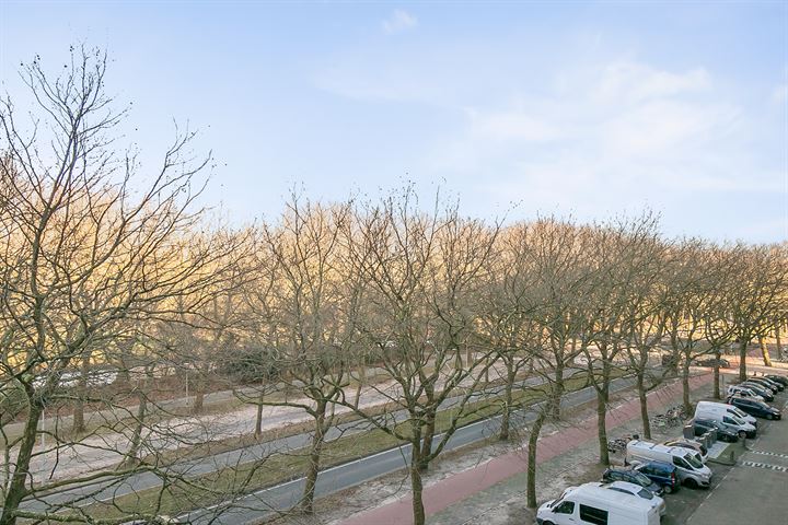 Bekijk foto 18 van Van Nijenrodeweg 771