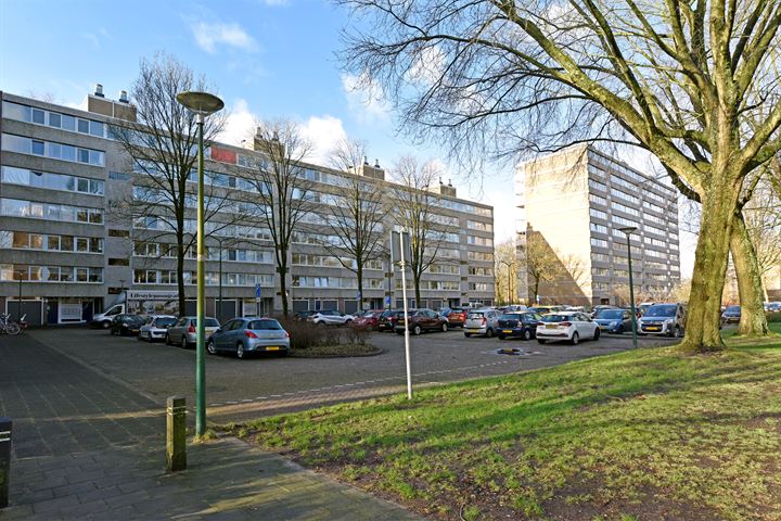 Bekijk foto 3 van Veenbesstraat 680