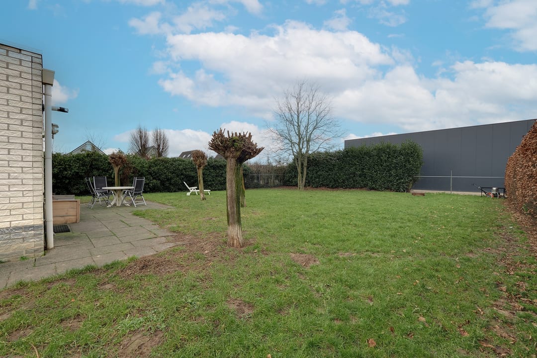 Foto 38 van 't Holland 21