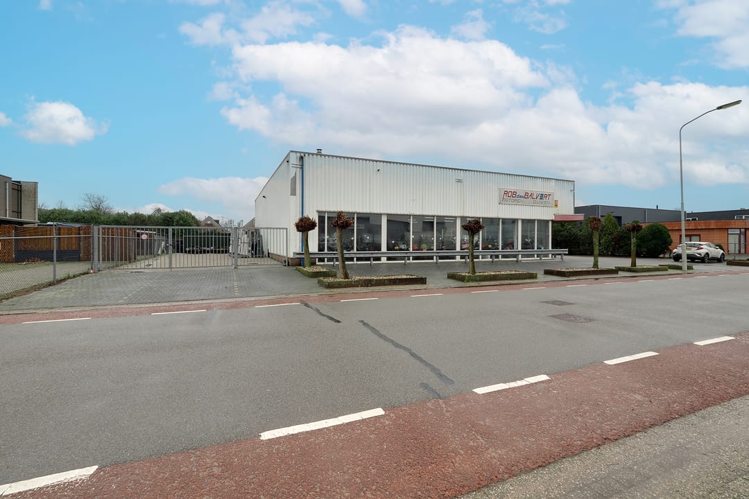 Foto 47 van 't Holland 21