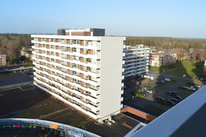 View photo 15 of Houtweg 254