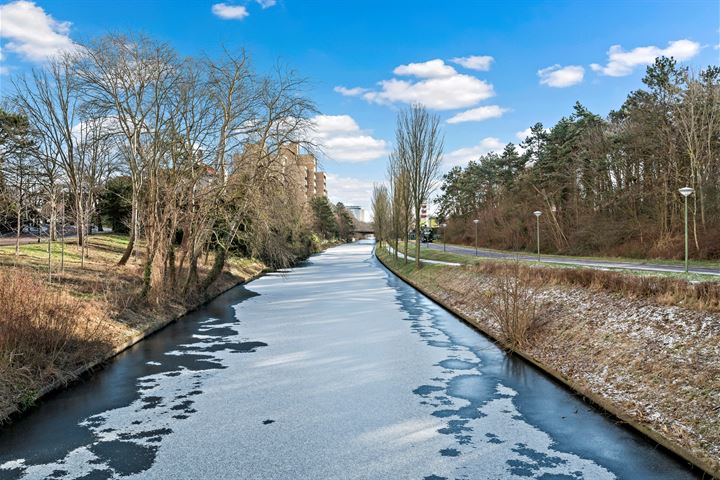 Bekijk foto 56 van Nieuwe Parklaan 8