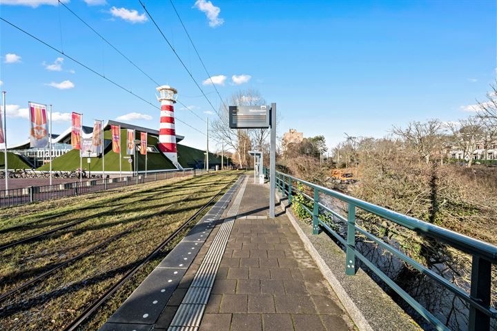 Bekijk foto 59 van Nieuwe Parklaan 8