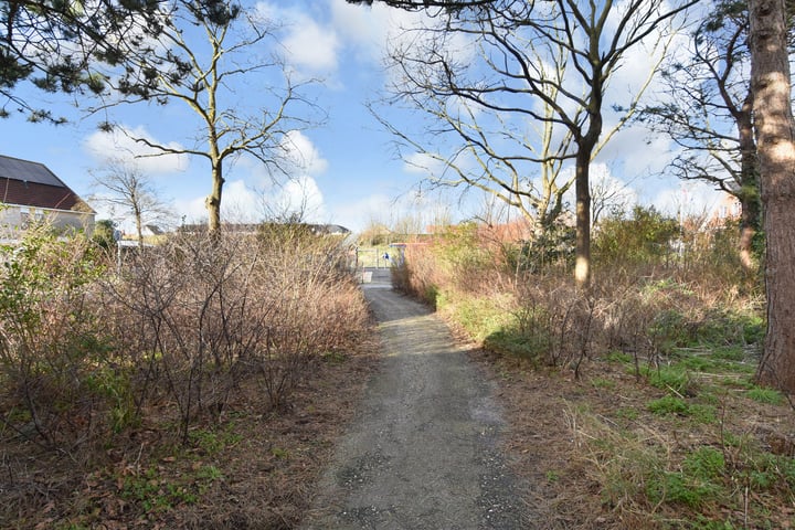 Bekijk foto 38 van Zeekoet 67