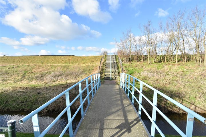 Bekijk foto 40 van Zeekoet 67