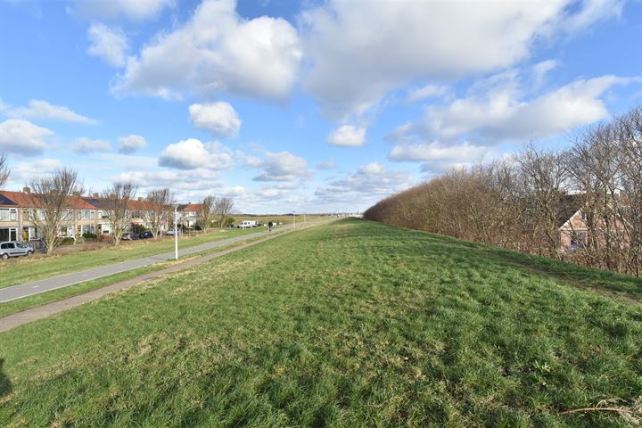 Bekijk foto 41 van Zeekoet 67