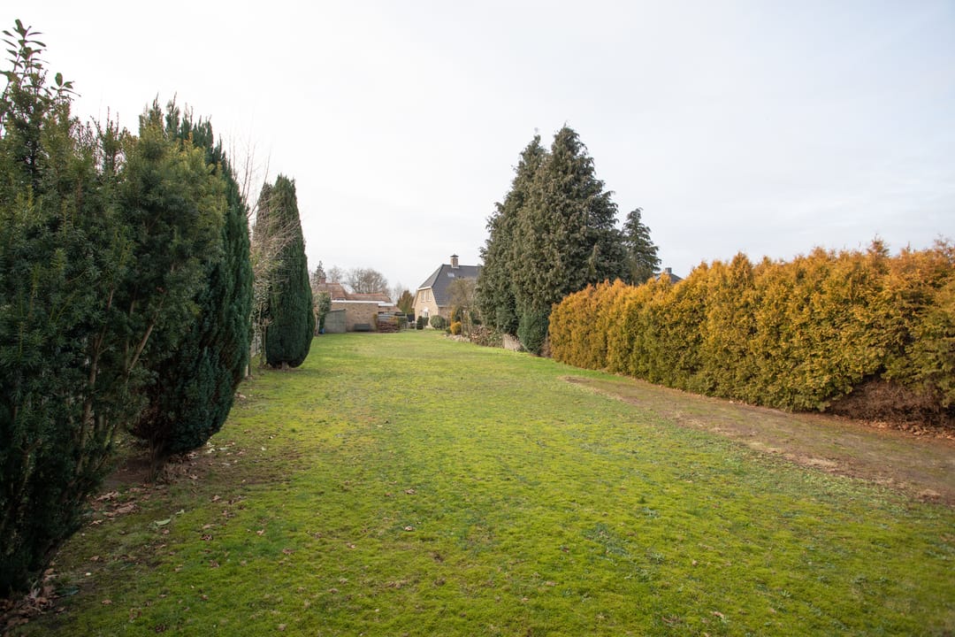 Foto 23 van Nijreesdwarsweg 6