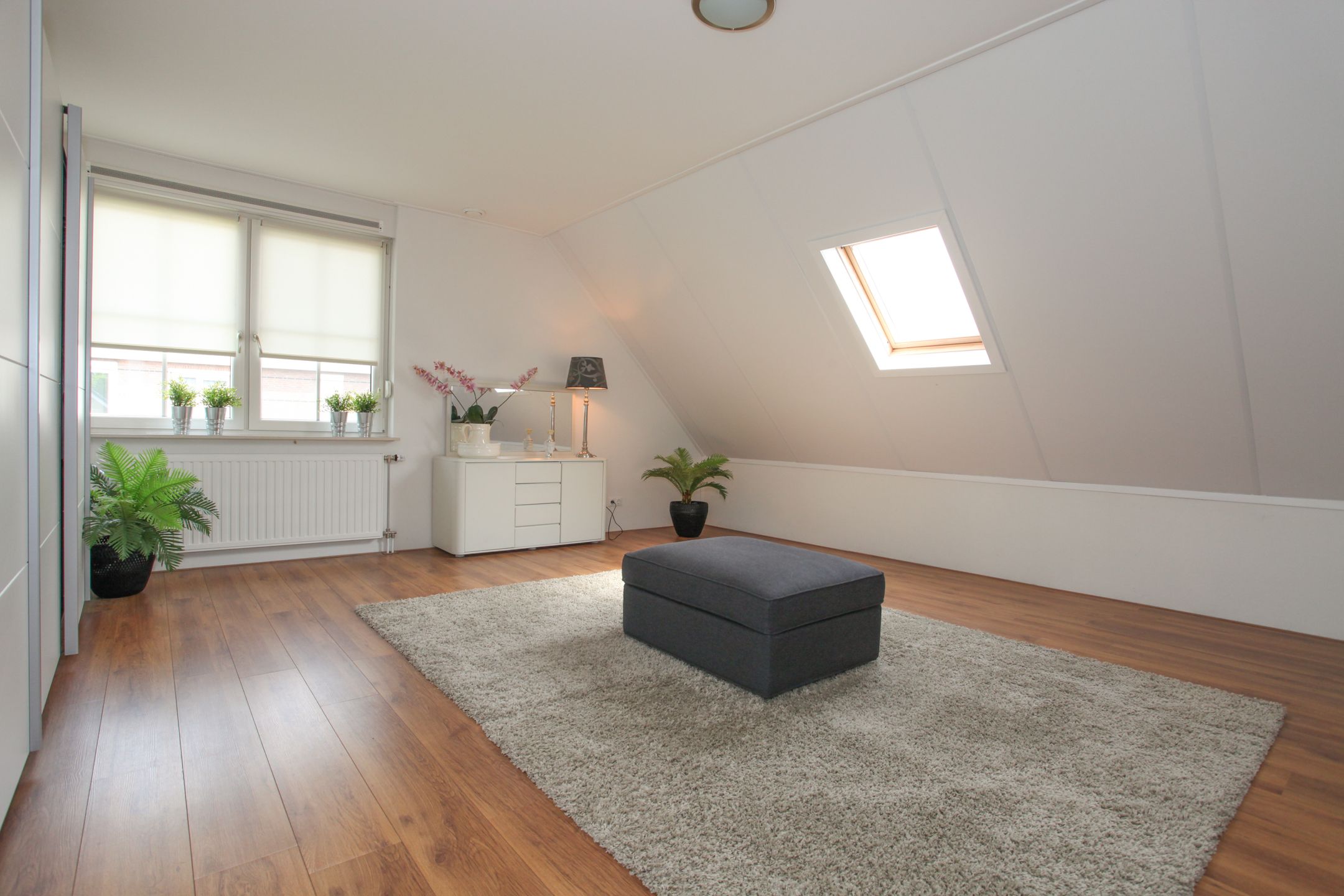 Foto 63 van Nijreesdwarsweg 6