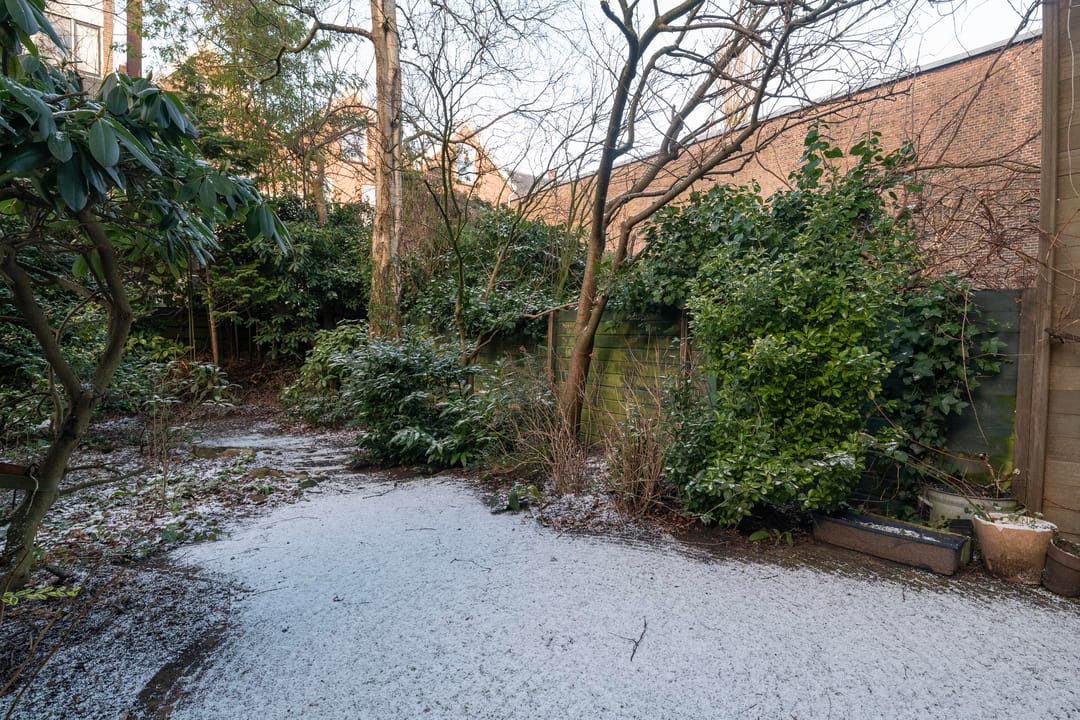 Foto 13 van Voorschoterlaan 95