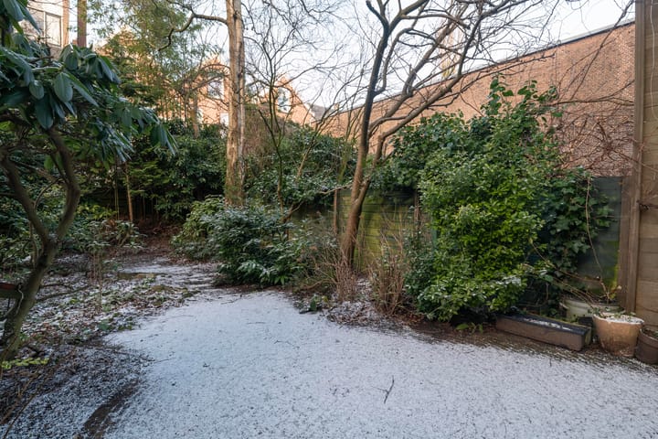 Foto 13 van Voorschoterlaan 95