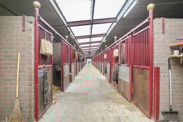 Foto 32 van Duifhuisstraat 2