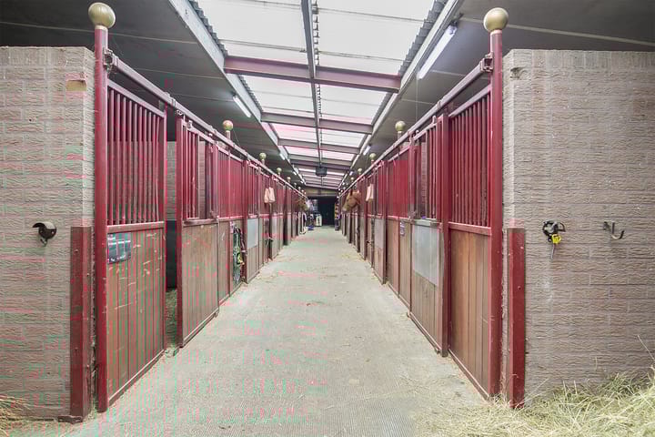 Foto 33 van Duifhuisstraat 2