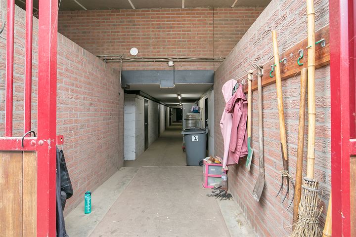 Bekijk foto 34 van Duifhuisstraat 2