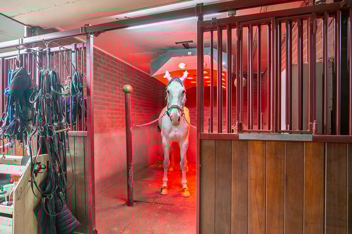 Foto 36 van Duifhuisstraat 2