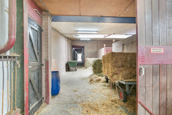 Foto 39 van Duifhuisstraat 2