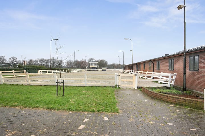 Foto 41 van Duifhuisstraat 2