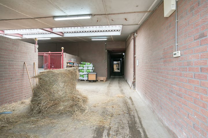 Foto 38 van Duifhuisstraat 2