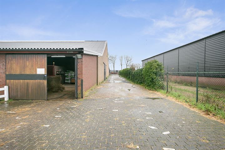 Bekijk foto 42 van Duifhuisstraat 2