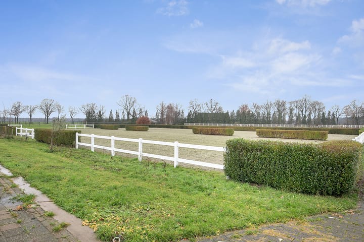 Foto 44 van Duifhuisstraat 2