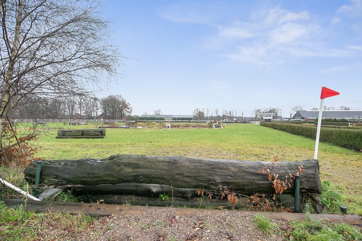 Foto 46 van Duifhuisstraat 2