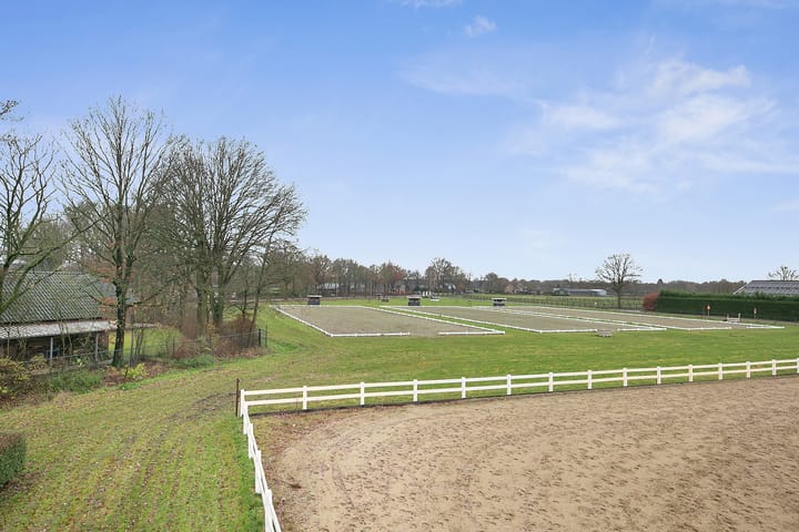 Foto 50 van Duifhuisstraat 2