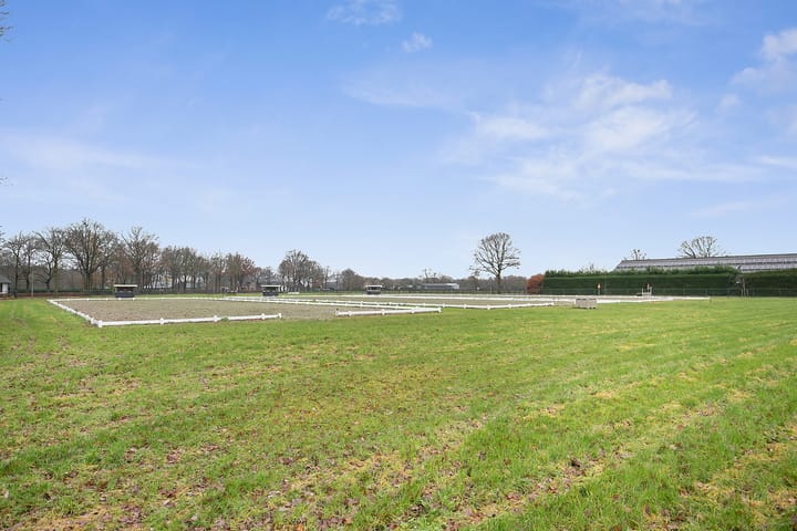 Foto 53 van Duifhuisstraat 2