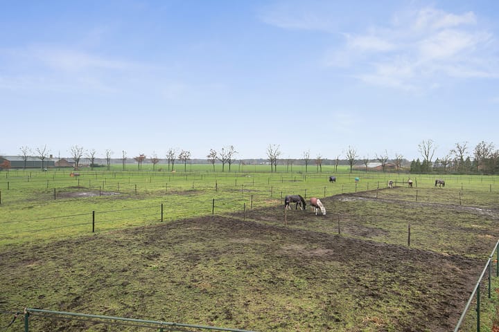 Foto 61 van Duifhuisstraat 2