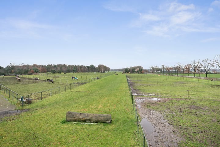 Foto 59 van Duifhuisstraat 2