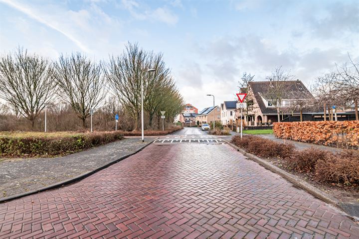 Bekijk foto 48 van Haarlemmermeer 31