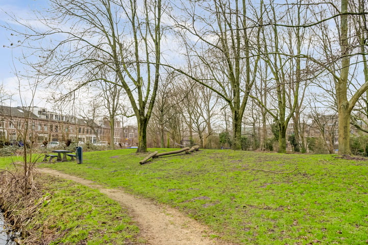 Bekijk foto 42 van Delfgauwseweg 59